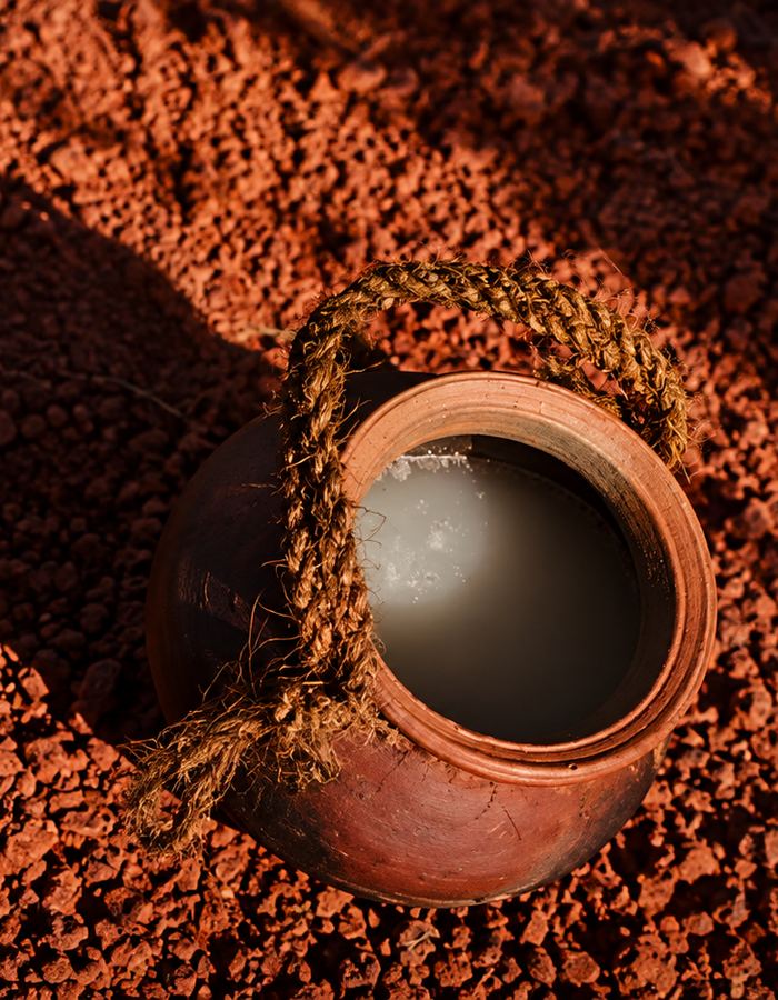 A rope-slung clay pot of fresh coconut toddy on red earth