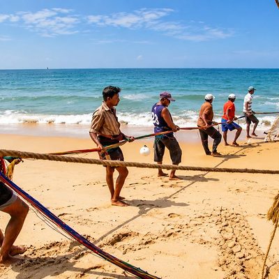Fishermen hauling nets at dawn on Negombo beach, Sri Lanka