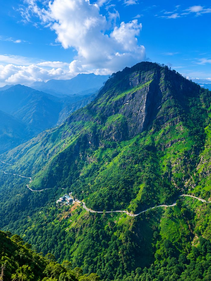 The stone arches of the Nine Arch Bridge rising above a tea field in the hill country, Sri Lanka