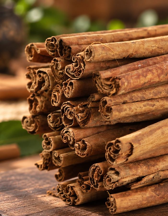 Rolled quills of Ceylon cinnamon drying after peeling