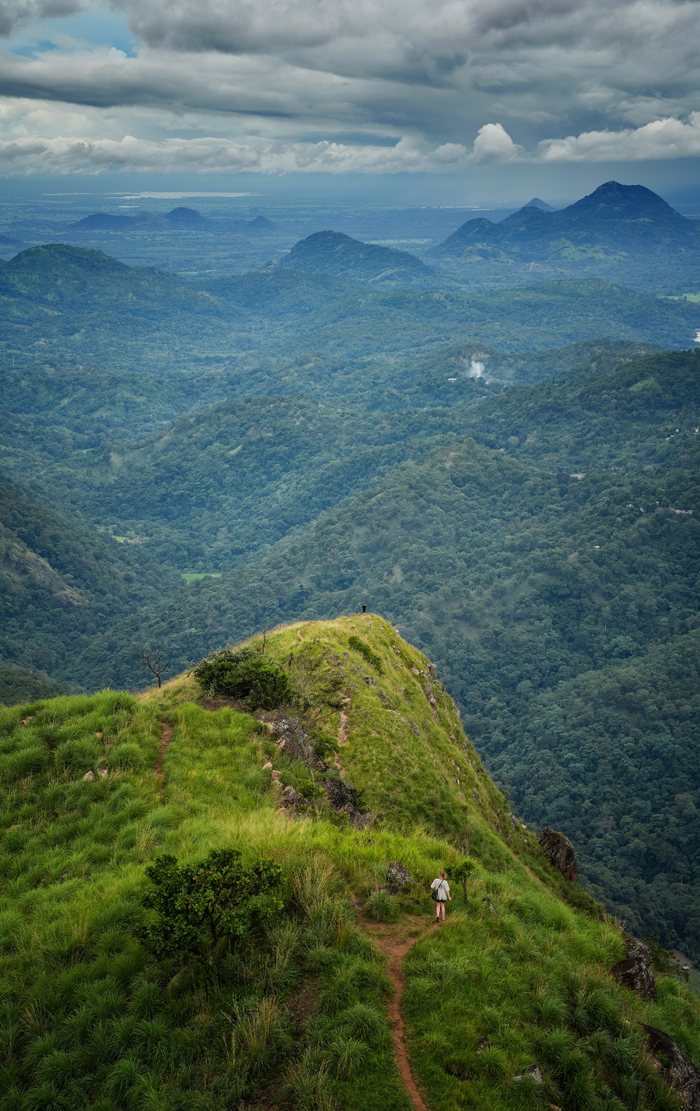 The ridge path on Little Adam’s Peak above the Ella valley