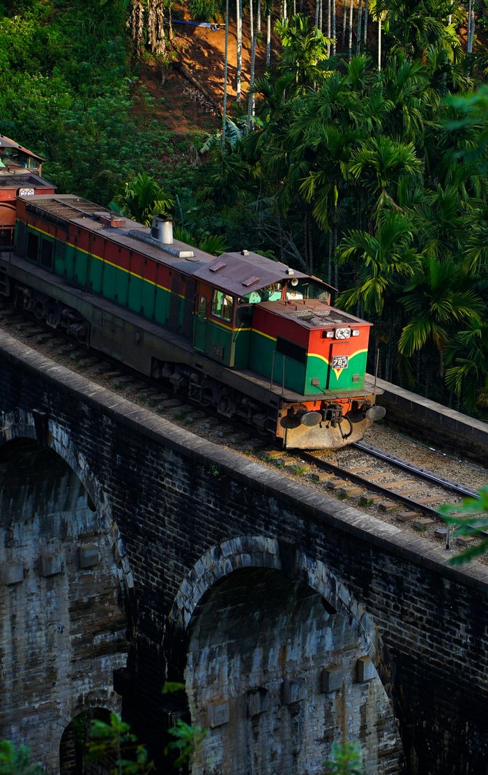 A train crossing the Nine Arch Bridge through the jungle at Ella