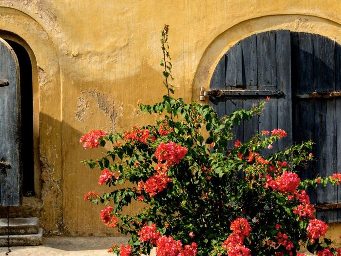 An old Dutch townhouse in Galle Fort with bougainvillea at the door