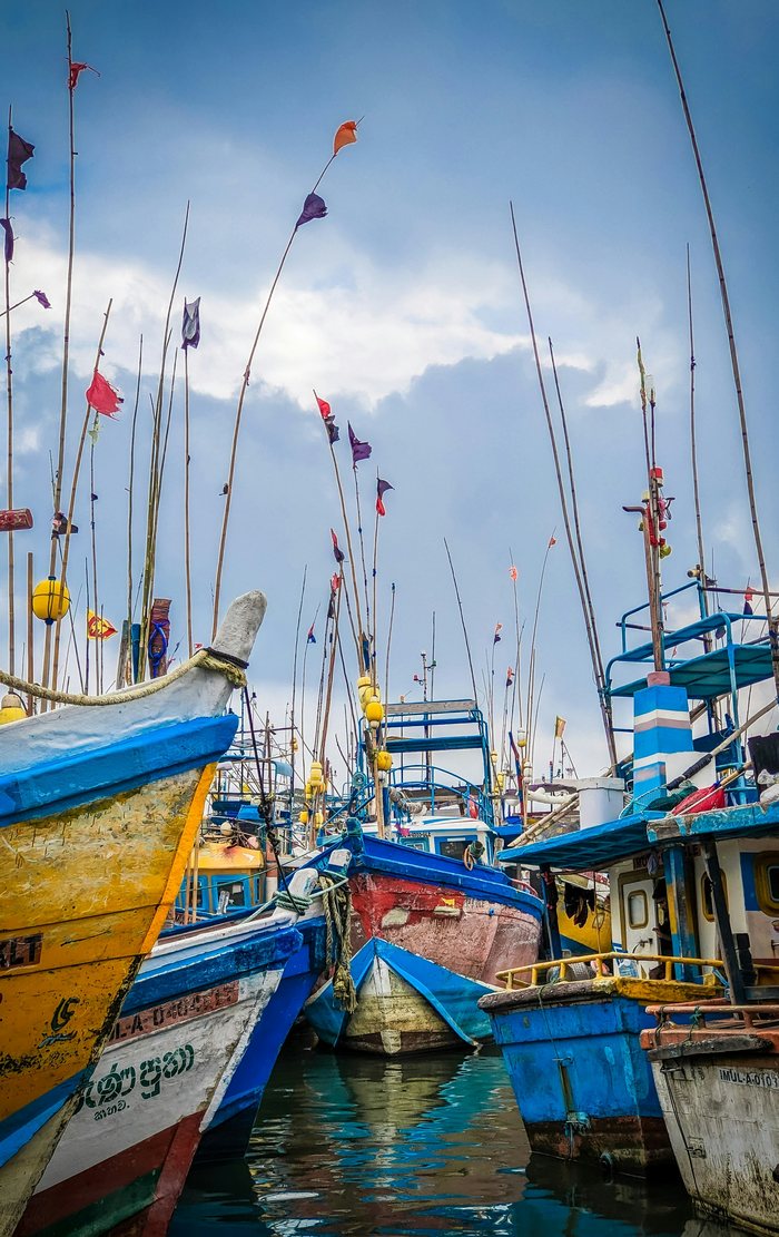 Painted fishing boats and flagged masts in Galle harbour