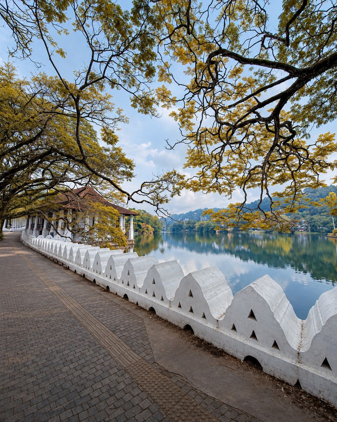 The white wave-shaped wall along Kandy Lake, under golden trees