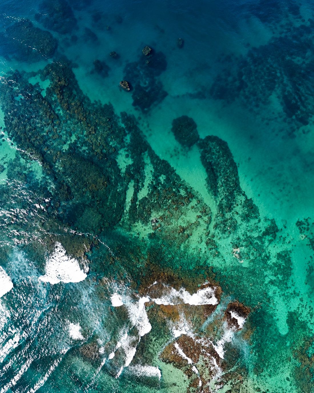 Shallow reef and coral heads below clear water, seen from above