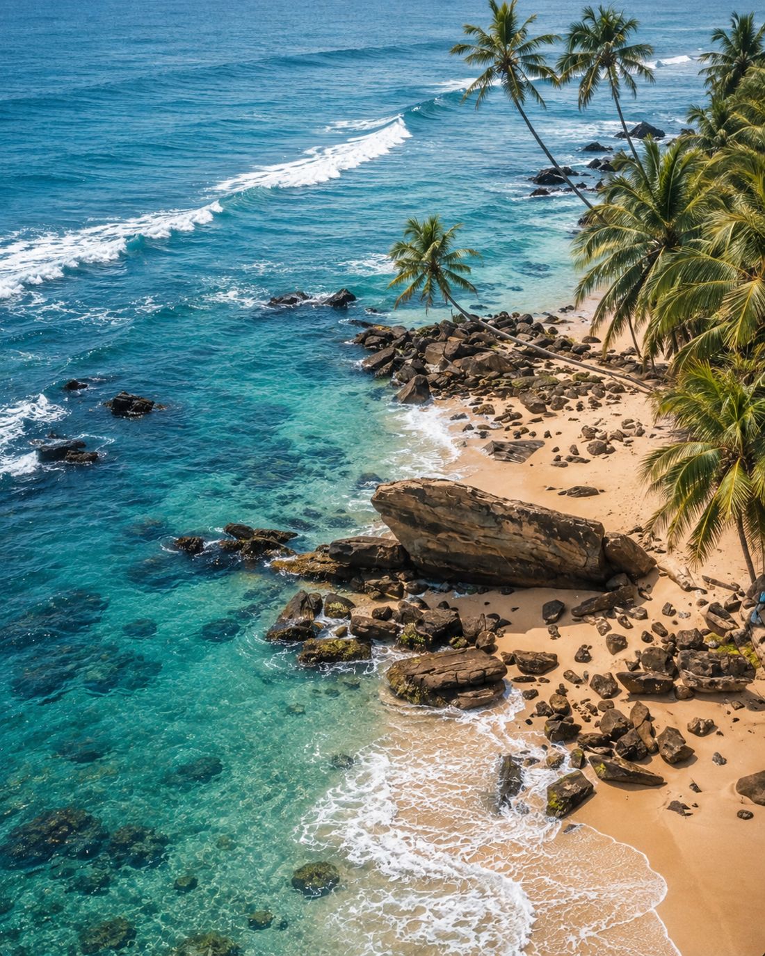 Leaning palms over a rocky beach and clear turquoise water