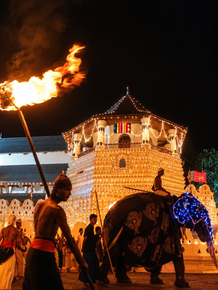 A tusker in lit regalia carrying the relic casket past the Temple of the Tooth during the Esala Perahera, Kandy, Sri Lanka