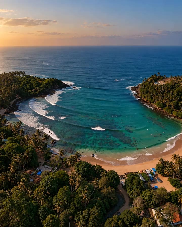 Waves rolling into a palm-fringed bay on Sri Lanka's south coast at sunset